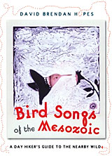 Bird songs of the Mesozoic