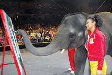 Elephant painting at Ringling Bros.