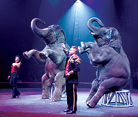 Promo shot from Ringling Bros